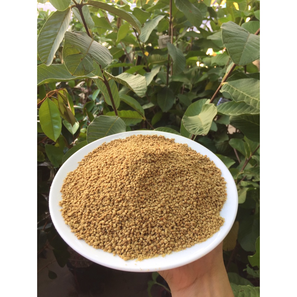 1kg phấn hoa, phấn ong cho ong mật ăn