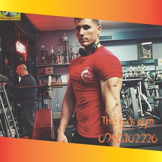 {sẵn) Áo Tập Gym Nam Body Ngắn Tay Đầu Sói  2019