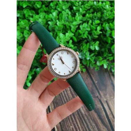 Đồng hồ nữ Burgi BUR221 - Green band Hàng chính hãng