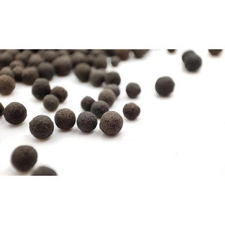 Phân nền EverGreen Plant Substrate Soil bao 5kg