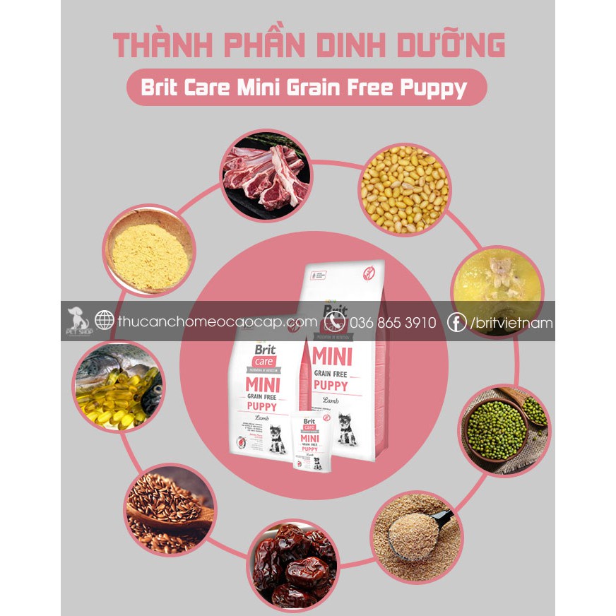 Thức Ăn Cho Chó Corgi Dưới 12 Tháng Tuổi - Brit Care Mini Grain Free Puppy