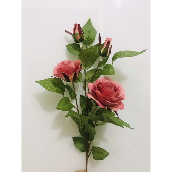 Hoa hồng lộc 4 bông