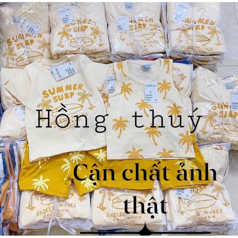 sét 2 bộ cây dừa cho bé hot hit