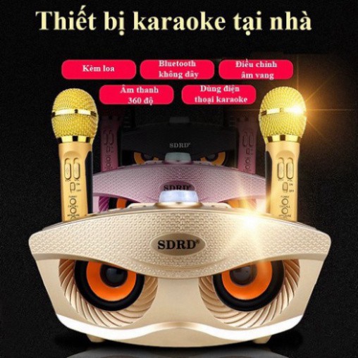 Loa Bluetooth Karaoke SD-306 Plus Loại 1 tặng kèm 2 micro hát Karaoke không dây.Bass đập siêu hay SD301 - SD 309
