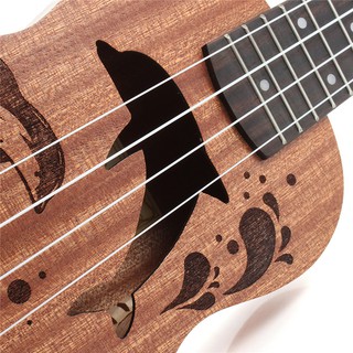 Đàn Ukulele Concert Dolphin