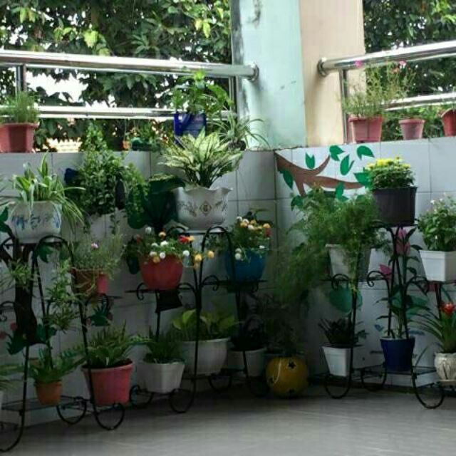 Kệ để cây cảnh hình chữ A 6 tầng nghệ thuật
