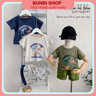 Bộ cotton cộc tay cho bé,sét bộ khủng long 3 màu BERNIE siêu đẹp hàng việt nam xuất khẩu chuẩn