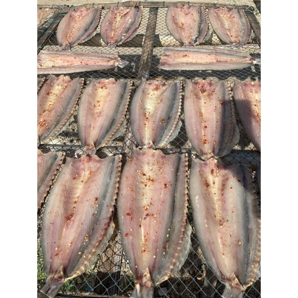 500gr khô cá nhồng mặn con to đặc sản kiên giang(Nam du)