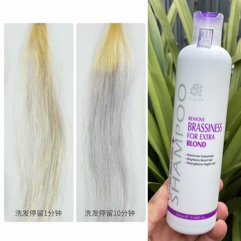 DẦU GỘI KHỬ VÀNG CHO TÓC TẨY SILVER SHAMPOO TPLUS 2020 FOR BLONDE