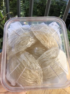 50g Yến tinh chế nhiều sợi + 🎁