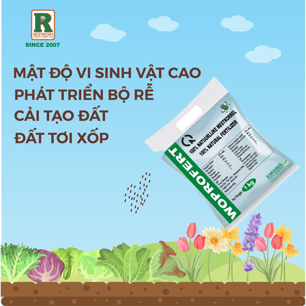 PHÂN BÓN HỮU CƠ GÀ ĐẬM ĐẶC VÀ TAN CHẬM XUẤT XỨ HÀ LAN