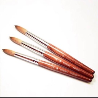 Cọ đắp bột s10-s12 giá 150k/1 cây