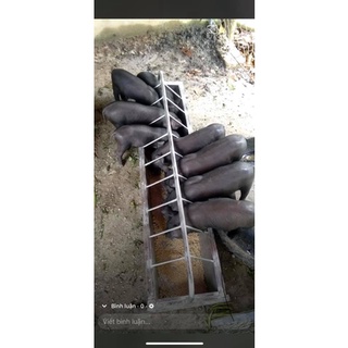 Máng Ăn Cho Heo Con Cao Cấp ( Hàng Inox 100%)