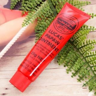Kem đa năng Lucas Papaw Ointment 25g
