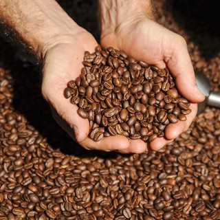 [1Kg] Cà phê Robusta nguyên chất
