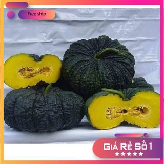 Hạt giống Bí đỏ da cóc F1 (1g)