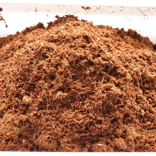 Xơ Dừa đã được xử lí túi 5dm3 ~ 1kg Giá thể giữ ẩm tăng độ tơi xốp cho Cây Cảnh, Rau Trồng giúp cây phát triển tốt.