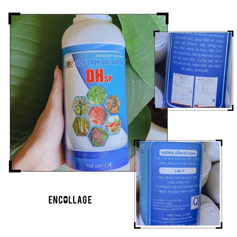 Dịch trùn quế tổng hợp