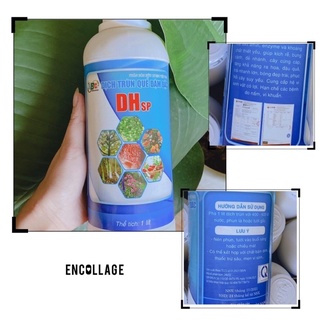 Dịch trùn quế tổng hợp