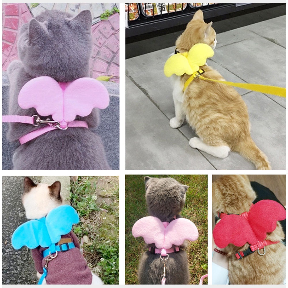 Dây Dắt Thú Cưng Đi Dạo Hình Đôi Cánh Thiên Thần Thoáng Khí 27Pets