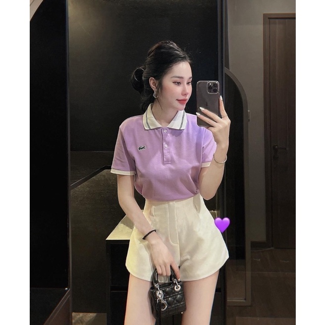 ÁO POLO CÁ SẤU MÀU TÍM VÀ XANH - cổ trắng viền