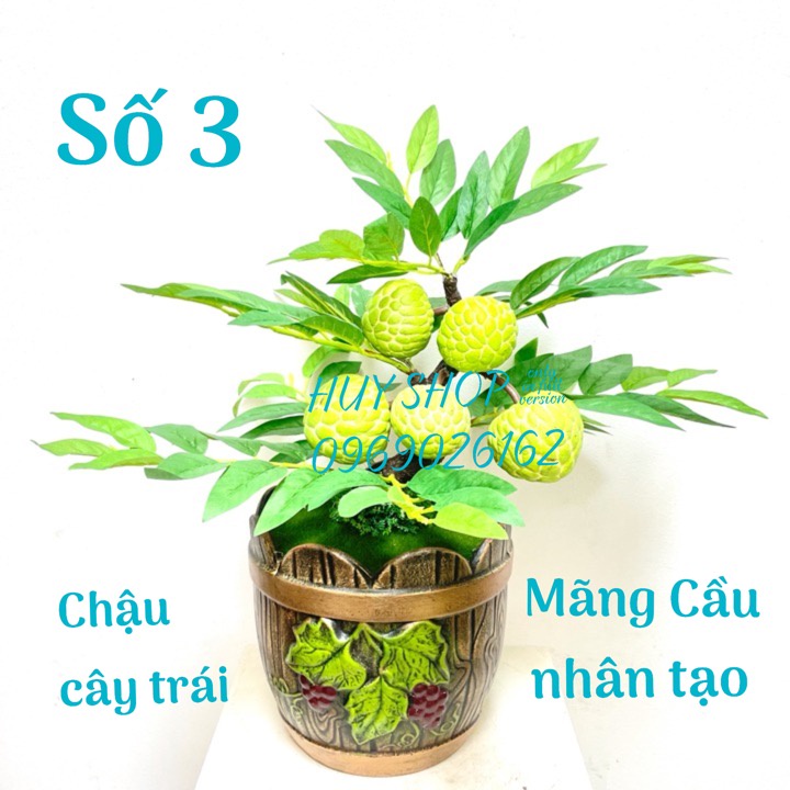 Hoa trái giả - Chậu cây trái MÃNG CẦU  nhân tạo trang trí nhà cửa