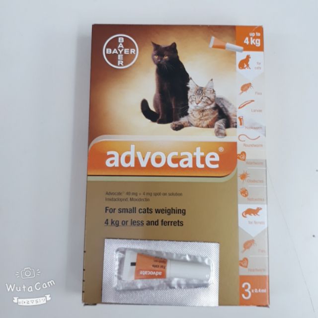 Nhỏ gáy trị ve rận chó chó, mèo Advocate