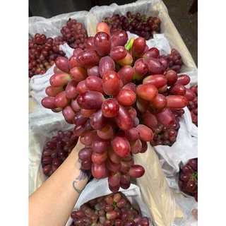 (HN) Nho Ruby Không Hạt Giao Siêu Tốc 1h