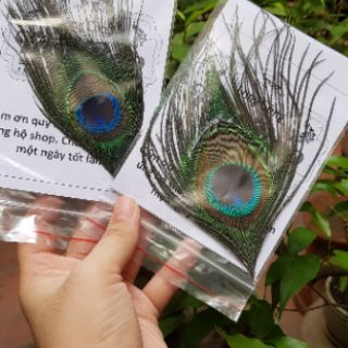 Lông công ốp điện thoại/ipad,mtb