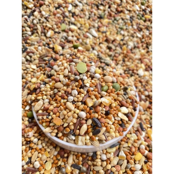 Ngũ cốc 20 loại hạt giá rẻ cho chim cu gáy giá rẻ