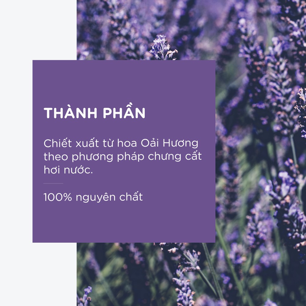 Tinh Dầu Oải Hương JOY Thiên Nhiên 10ml -  Tinh Dầu Xông Phòng Thiên Nhiên Nguyên Chất - Có kiểm định