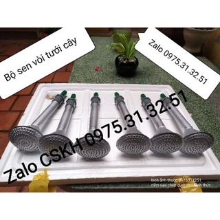 Vòi sen tưới cây
