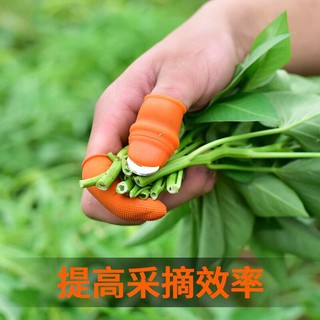 DỤNG CỤ BẤM HOA QUẢ , NHẶT RAU