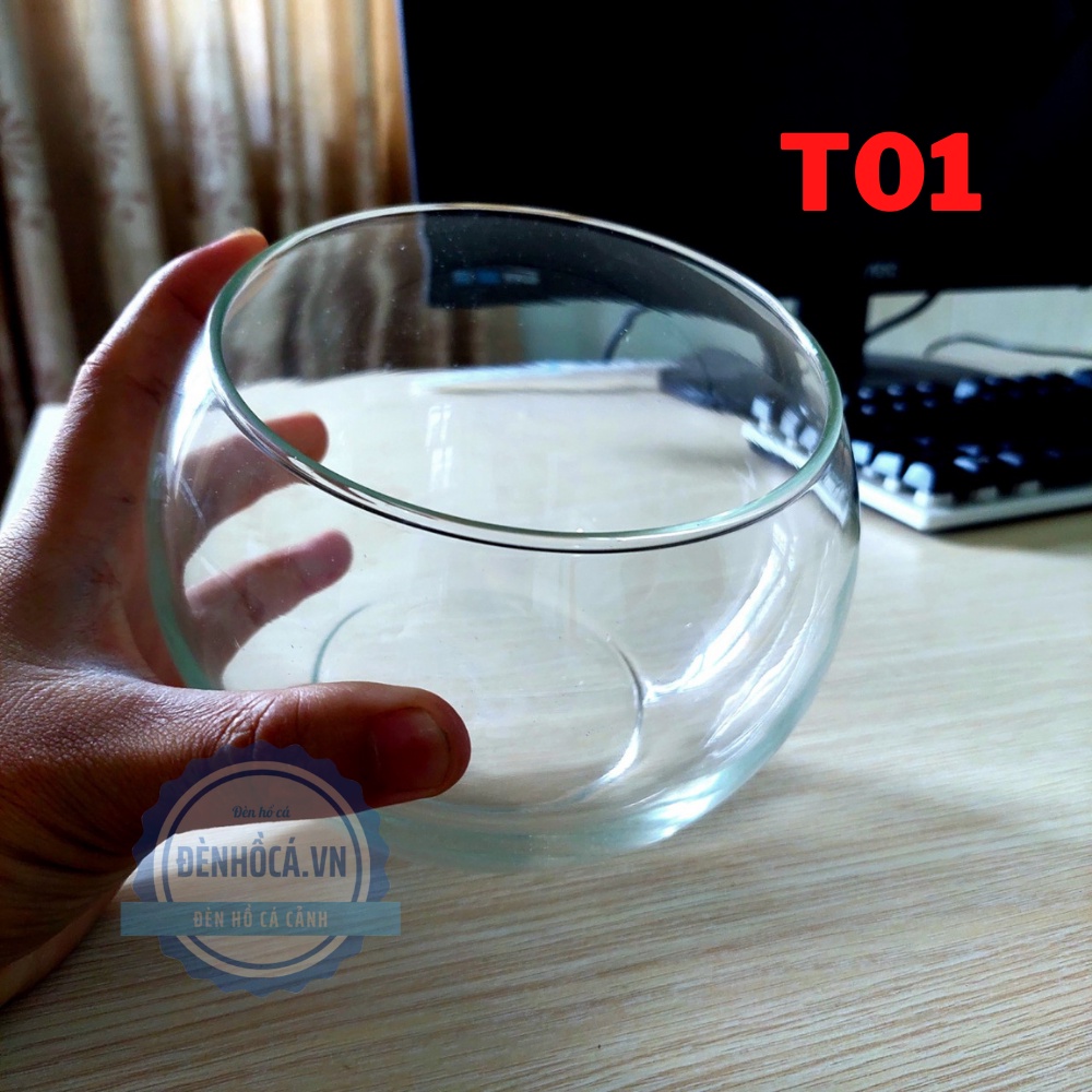 Chậu thủy tinh mini nuôi cá, bể cá mini để bàn