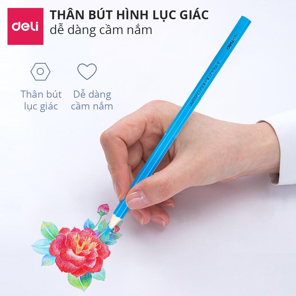 Bút chì màu nước bộ chì khô vẽ tranh Deli cao cấp dạng cốc 12/24/36/48 màu - 68129/ 68130/ 68131/ 68132