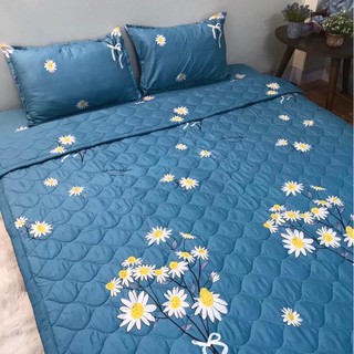 Sét Đủ 5 món ga gối chăn hè trần bông 2 vỏ gối và vỏ gối ôm mẫu HOẠ MI XANH