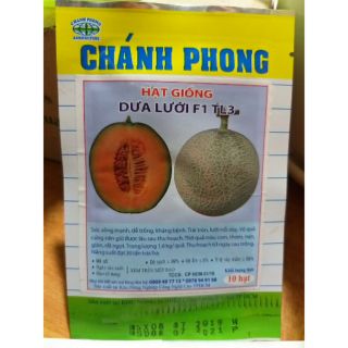 Hạt giống dưa lưới
