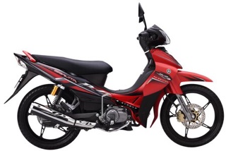 Đĩa phanh dầu xe Jupiter đĩa sao
