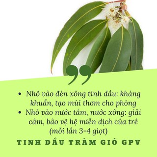 Tinh dầu tràm gió GPV