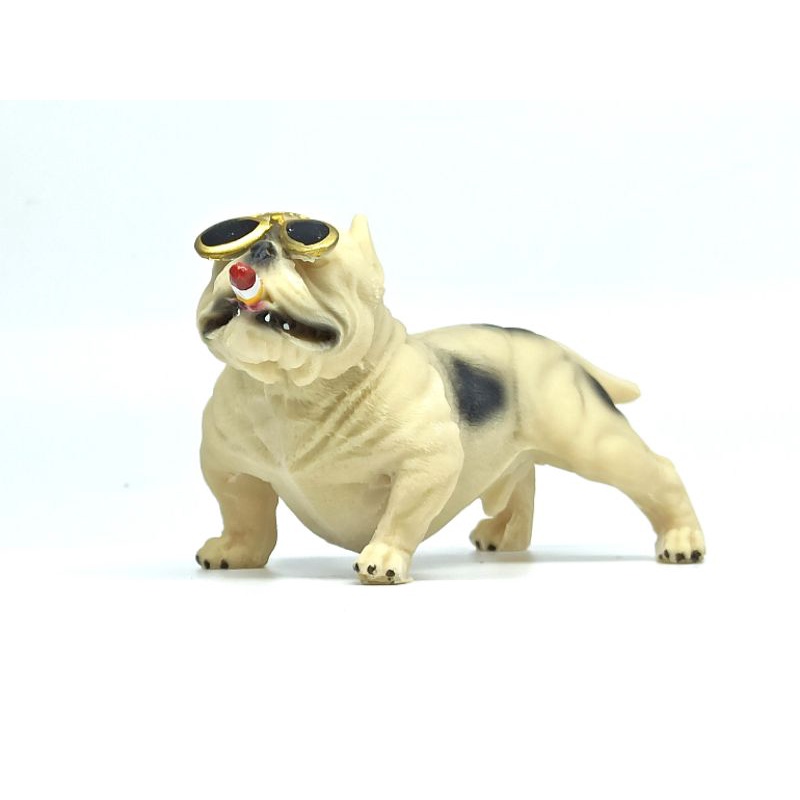 Chó Bull đặt tablo