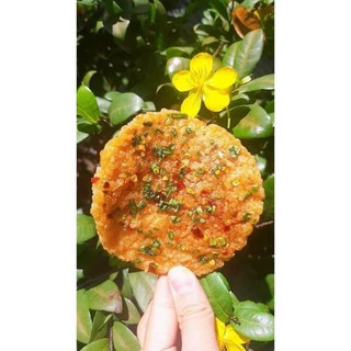 CƠM CHÁY MẮM HÀNH - [ship hỏa tốc ] - cơm cháy nhà làm bao ngon