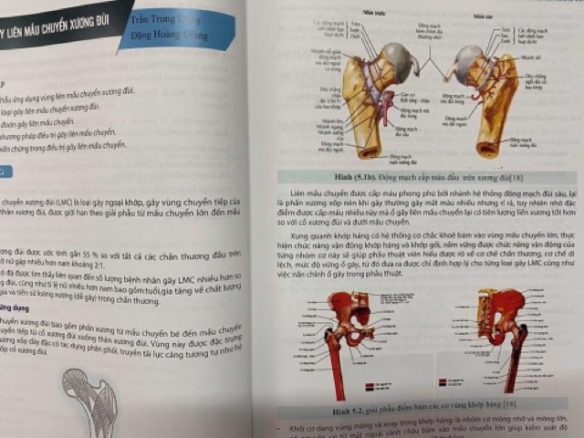 Sách - Chẩn đoán và điều trị gãy xương trật khớp chi dưới ( Giáo trình đào tạo sau đại học)