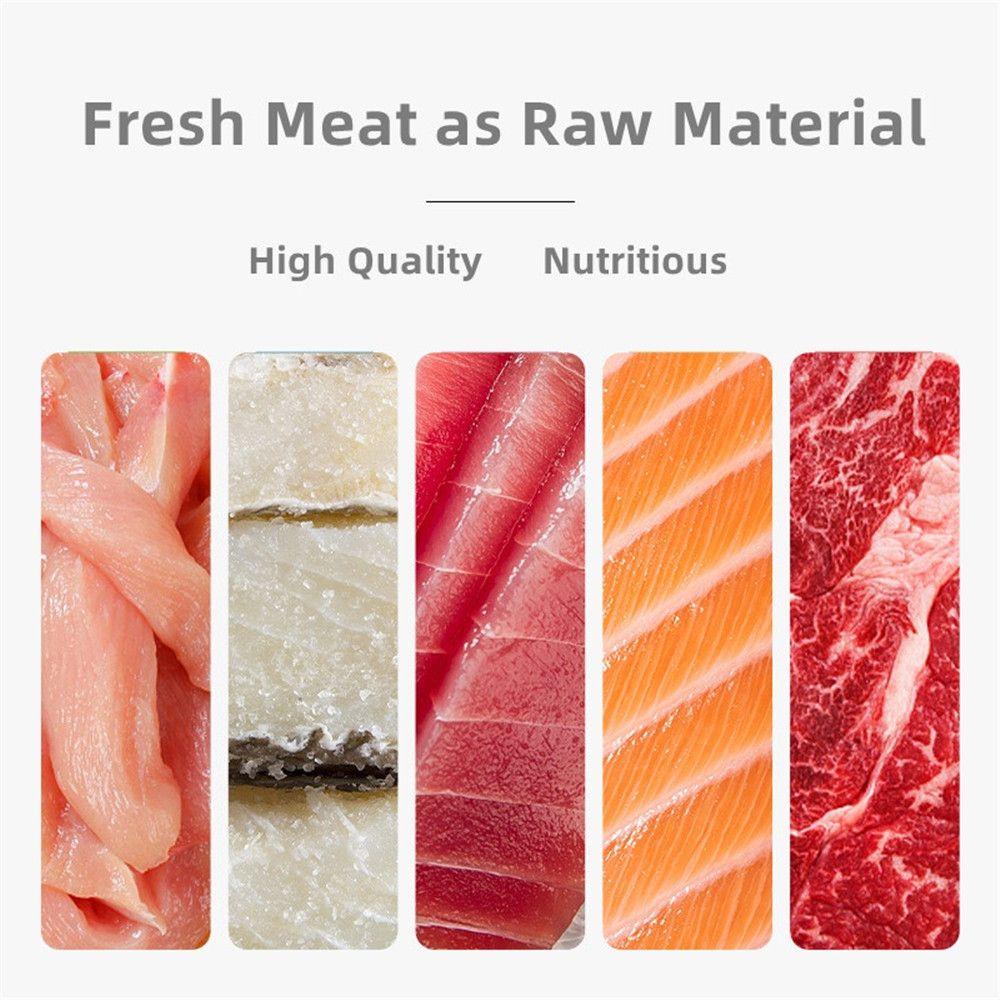 LAYOR1 Set 10 Đồ Chơi Huấn Luyện Cho Mèo