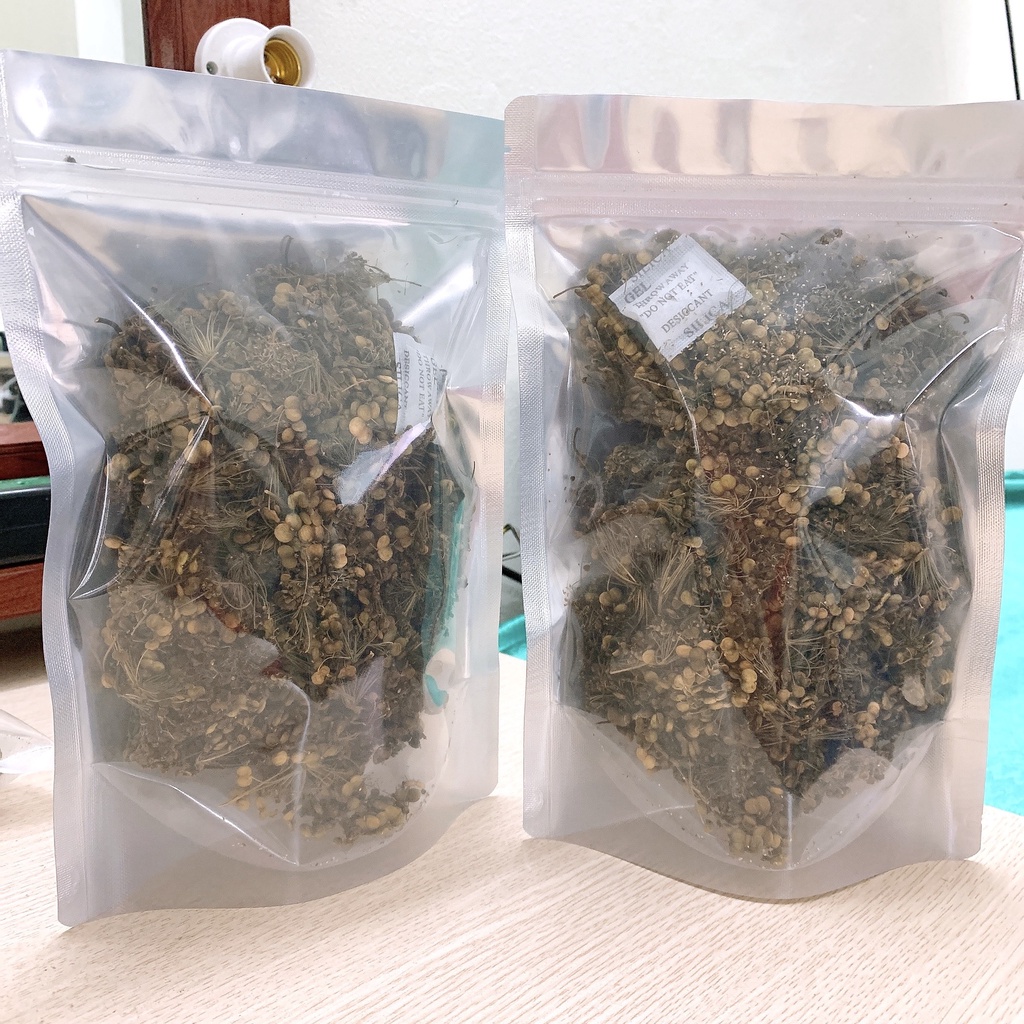 TRÀ HOA NHÂN SÂM HÀN QUỐC