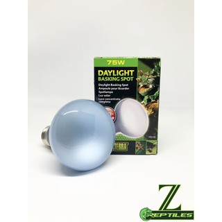 Đèn UVA ExoTerra Daylight Basking Spot 75W