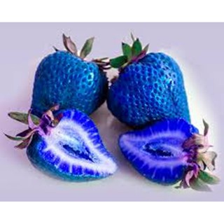 Hạt giống Dâu tây mix (dâu úc)