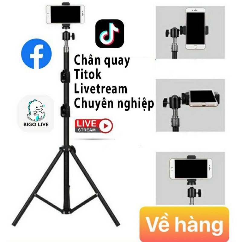 Cây QUAY 1.6M live tik tok livestream chân đứng bi cầu q29 kẹp điện thoại HẠ THẤP ĐƯỢC XUỐNG 60CM