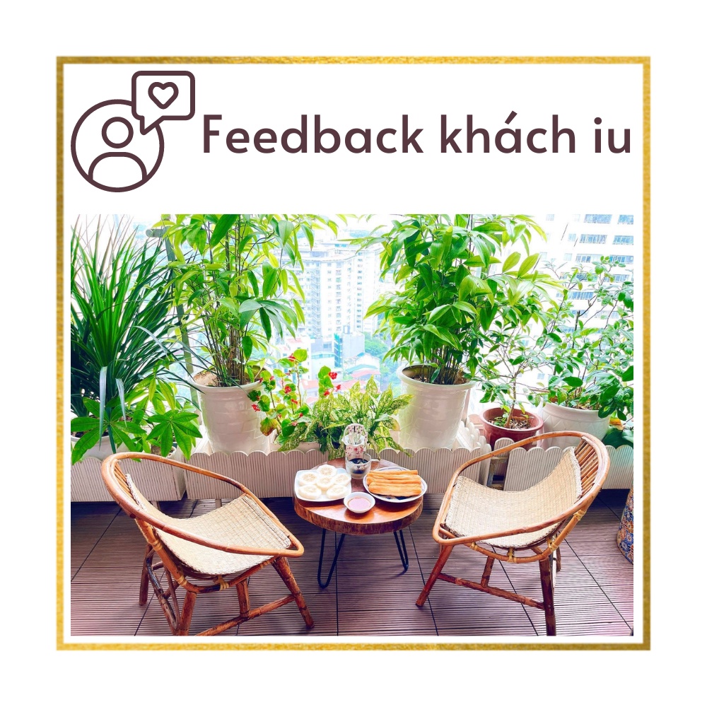 (Ghế Mây Cafe) Ghế Mây Sò tự nhiên, Ghế mây Cà Phê giá rẻ, Ghế ban công, Homestay ( có kèm lót cói)