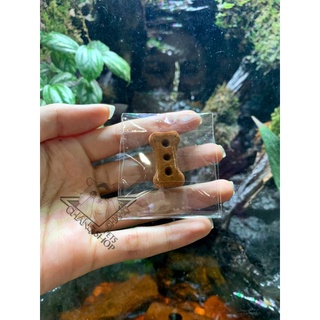 Bánh mài răng vị thịt cho hamster
