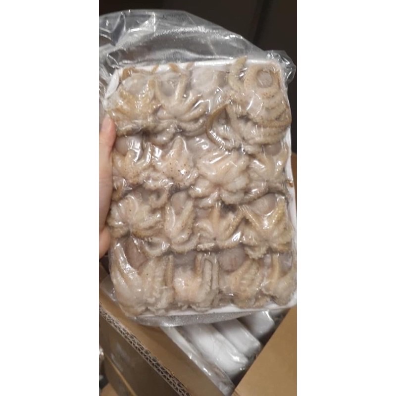 bạch tuộc baby khay 1kg